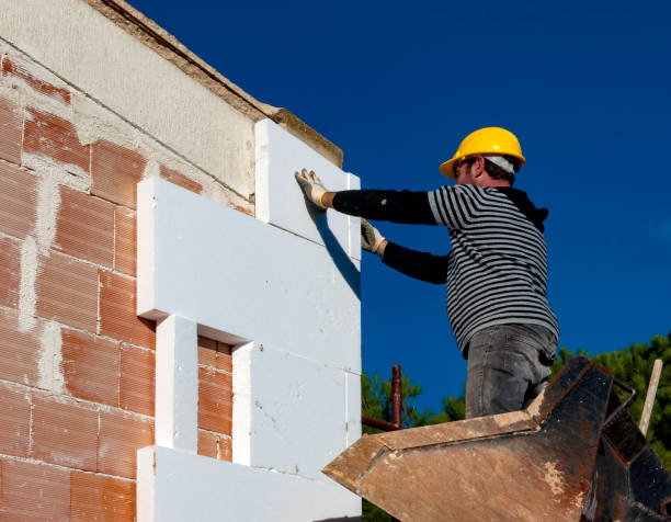 Best Insulation for New Construction  in Atlantic Beach, FL