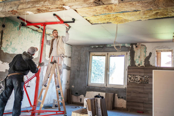 Best Professional Insulation Contractor  in Atlantic Beach, FL
