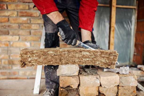 Best Home Insulation Services  in Atlantic Beach, FL