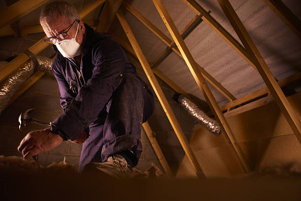 Best Insulation for Commercial Buildings  in Atlantic Beach, FL